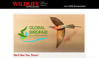 Screenshot of the header area of a recent Wildlife Worldwide e-newsletter.