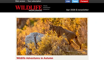 Screenshot of the header area of a recent Wildlife Worldwide e-newsletter.