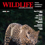 Extract of Autumn 2016 cover.