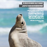 Extract of page 19 article about Kangaroo Island.