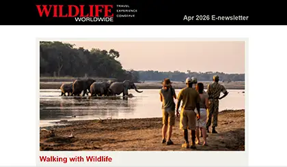 Screenshot of the header area of a recent Wildlife Worldwide e-newsletter.